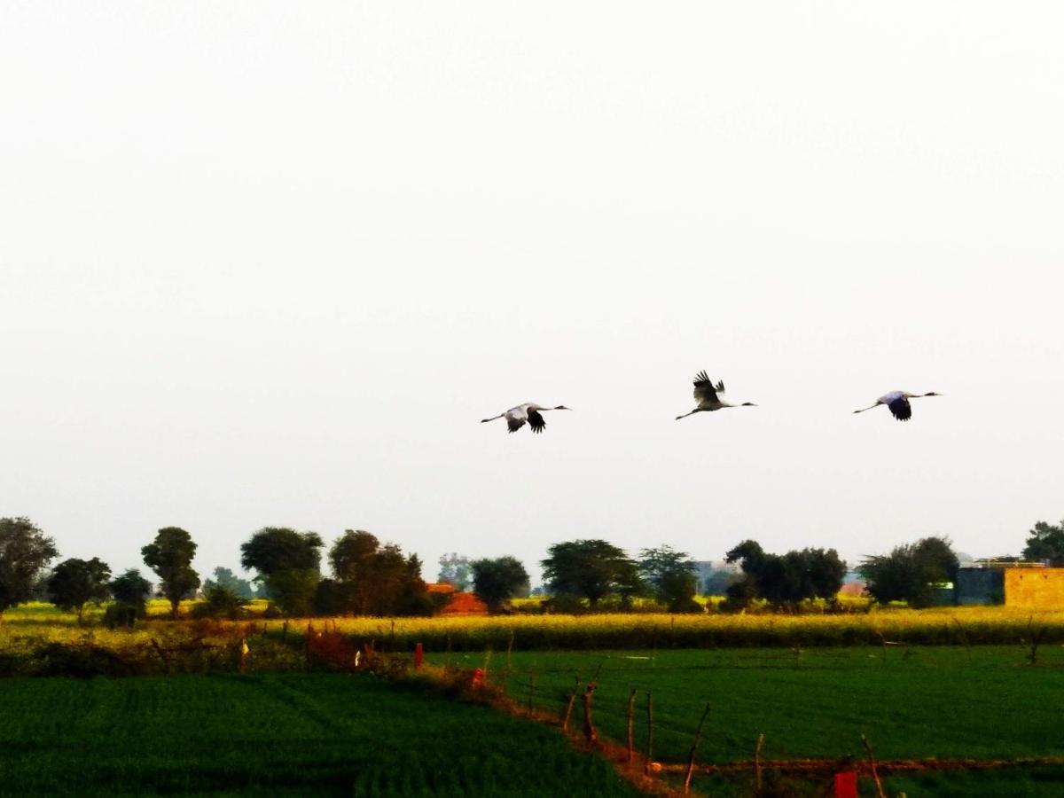 Appartamento Royal Farm Bharatpur Esterno foto